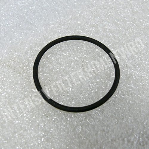 O-Ring - Original Intensiv Filter Ersatzteile