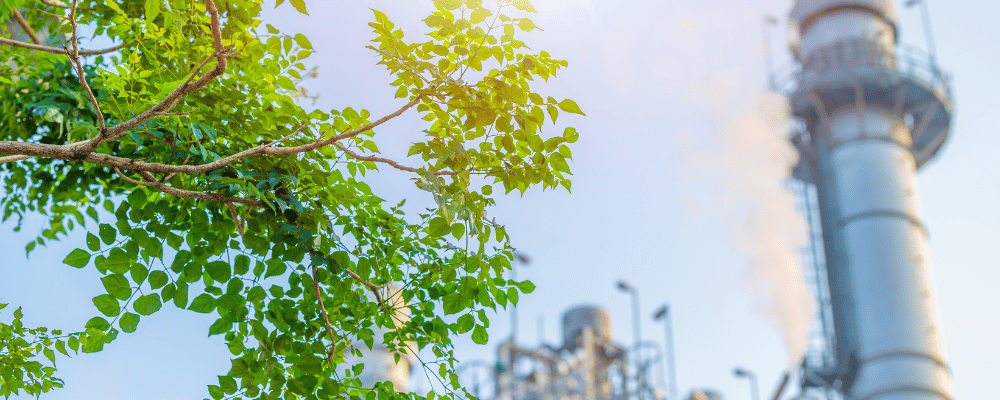 Sustainable Air Filtration