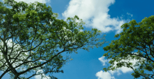 Industrial Air Quality Control