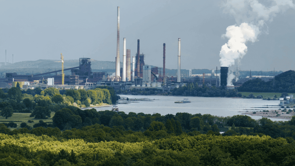 Filter Cartridge Dust Collector